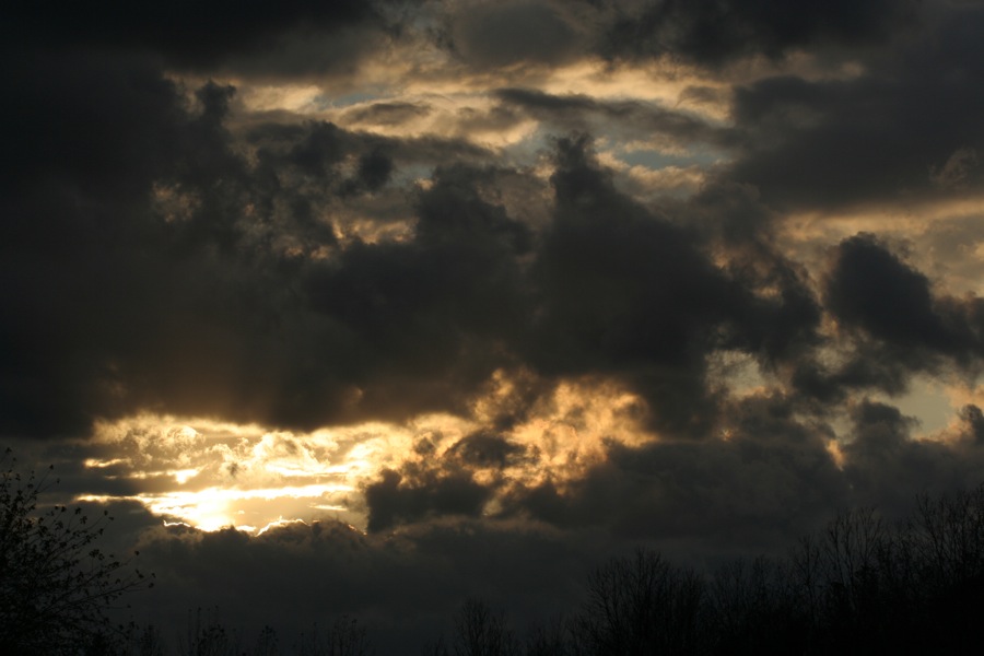 Whipple Park Sunset